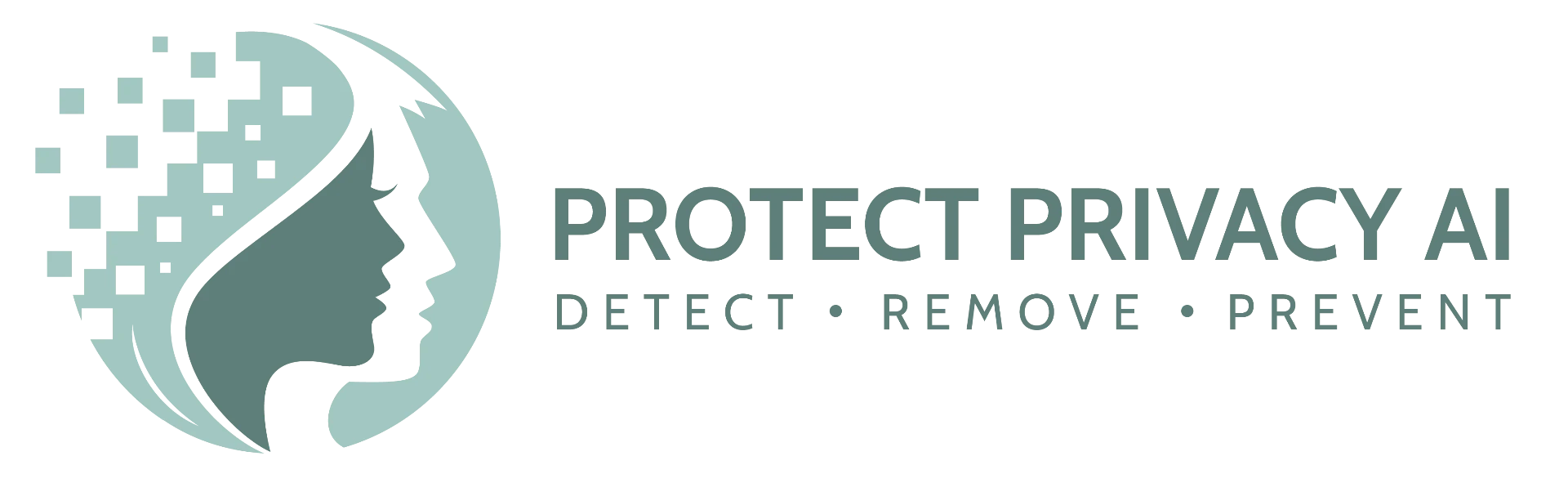 Protect Privacy AI